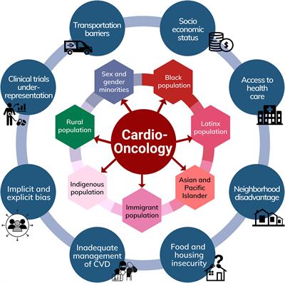 Inequity in care delivery in cardio-oncology: dissecting disparities in underrepresented populations